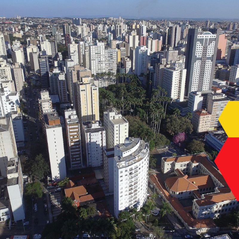 Parques e Jardins fará mutirão para retirada de árvores na Abolição