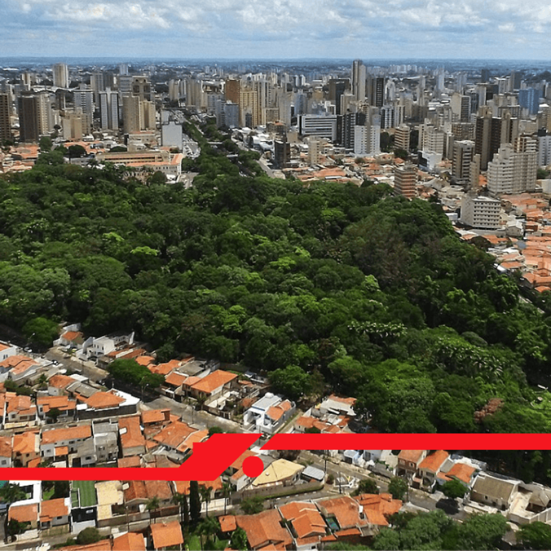 O Refúgio Urbano que Você Precisa Conhecer